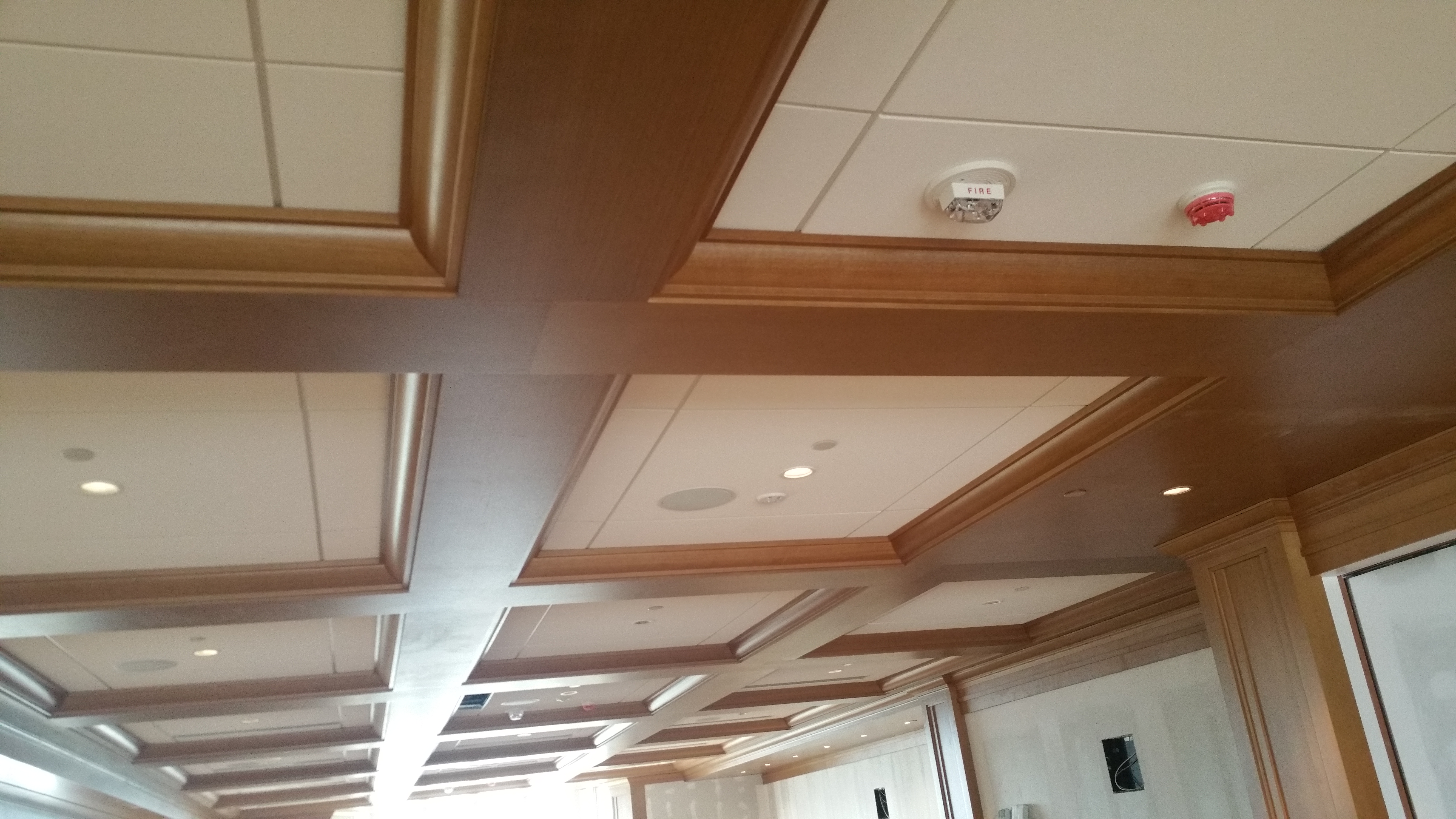 Crown Mold Notre Dame1